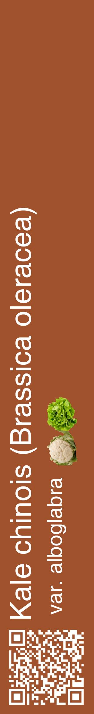 Étiquette de : Brassica oleracea var. alboglabra - format c - style blanche32_basiquehel avec qrcode et comestibilité simplifiée