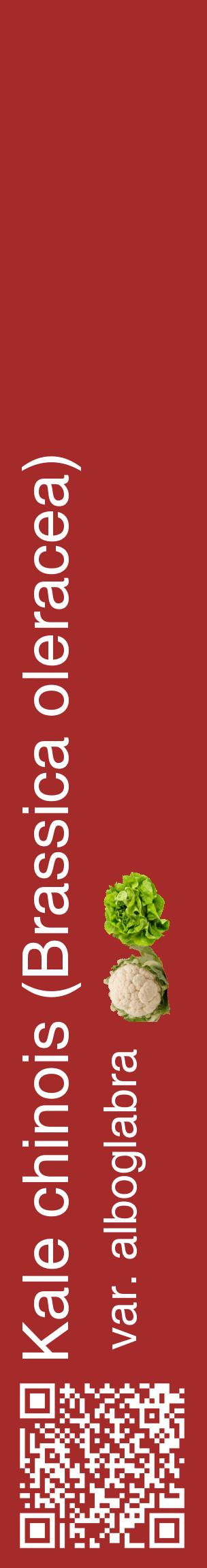 Étiquette de : Brassica oleracea var. alboglabra - format c - style blanche33_basiquehel avec qrcode et comestibilité simplifiée