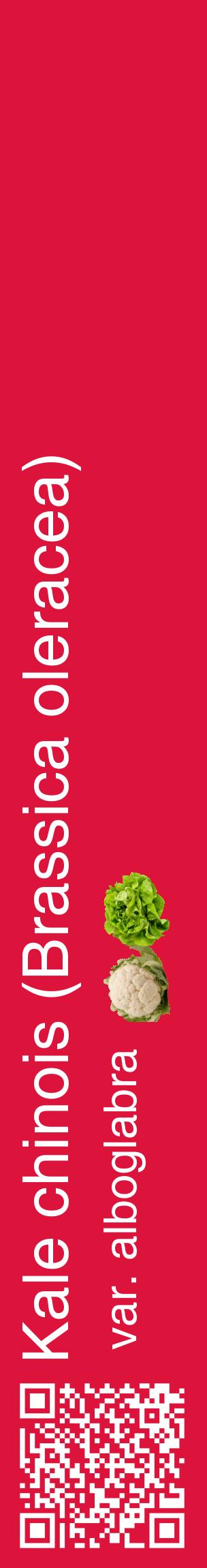 Étiquette de : Brassica oleracea var. alboglabra - format c - style blanche36_basiquehel avec qrcode et comestibilité simplifiée
