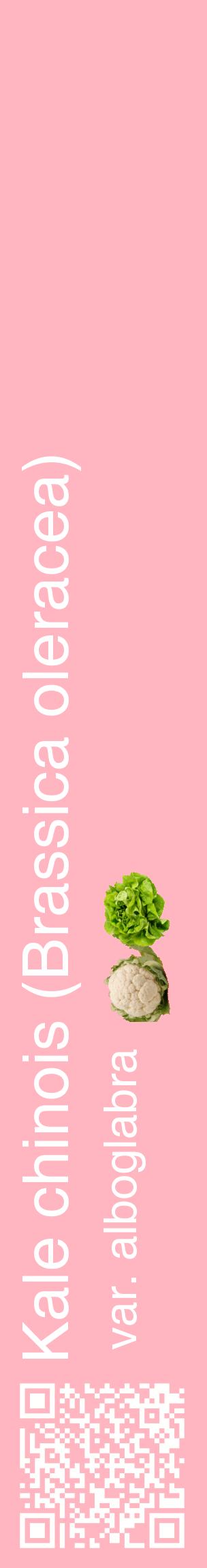 Étiquette de : Brassica oleracea var. alboglabra - format c - style blanche41_basiquehel avec qrcode et comestibilité simplifiée