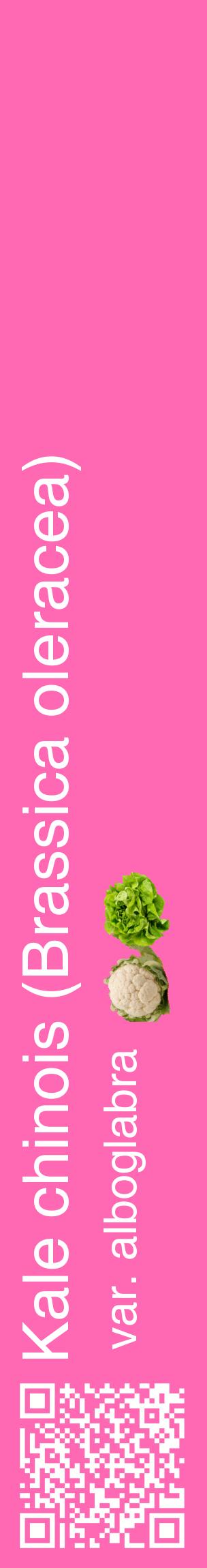 Étiquette de : Brassica oleracea var. alboglabra - format c - style blanche42_basiquehel avec qrcode et comestibilité simplifiée