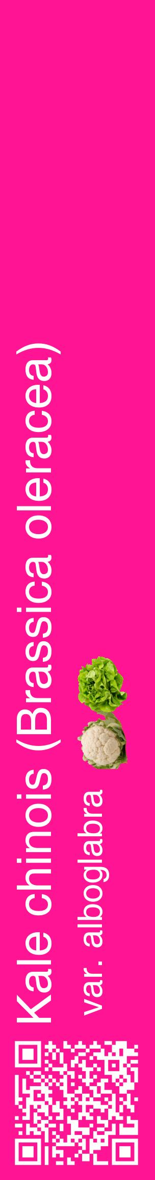 Étiquette de : Brassica oleracea var. alboglabra - format c - style blanche43_basiquehel avec qrcode et comestibilité simplifiée
