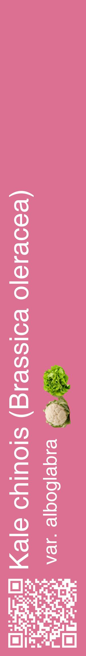 Étiquette de : Brassica oleracea var. alboglabra - format c - style blanche44_basiquehel avec qrcode et comestibilité simplifiée