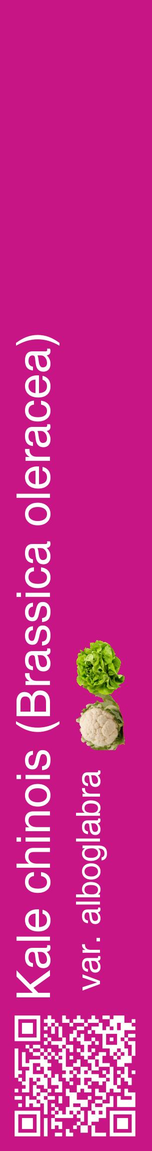 Étiquette de : Brassica oleracea var. alboglabra - format c - style blanche45_basiquehel avec qrcode et comestibilité simplifiée