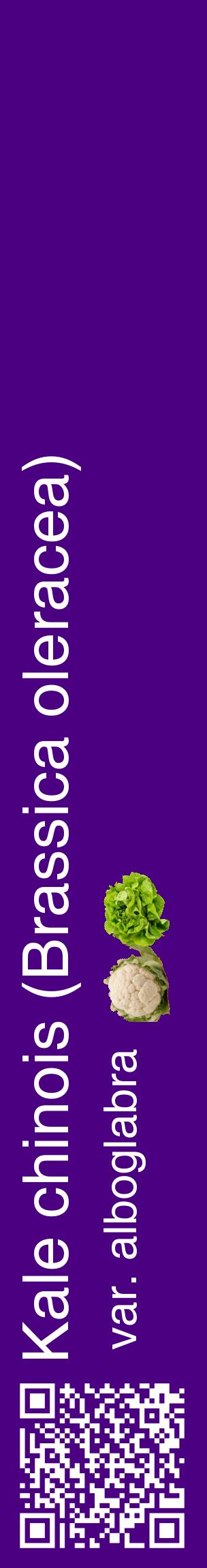 Étiquette de : Brassica oleracea var. alboglabra - format c - style blanche47_basiquehel avec qrcode et comestibilité simplifiée