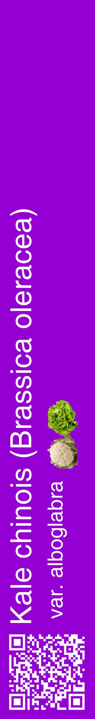 Étiquette de : Brassica oleracea var. alboglabra - format c - style blanche48_basiquehel avec qrcode et comestibilité simplifiée