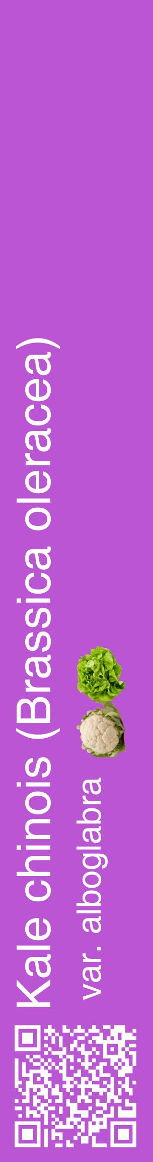 Étiquette de : Brassica oleracea var. alboglabra - format c - style blanche50_basiquehel avec qrcode et comestibilité simplifiée