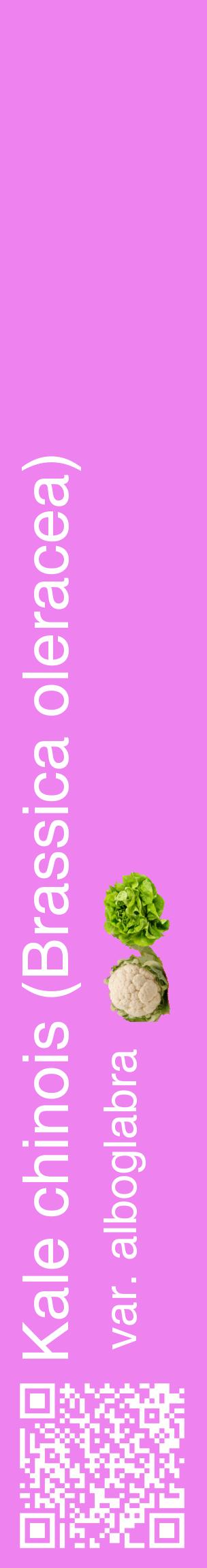 Étiquette de : Brassica oleracea var. alboglabra - format c - style blanche53_basiquehel avec qrcode et comestibilité simplifiée