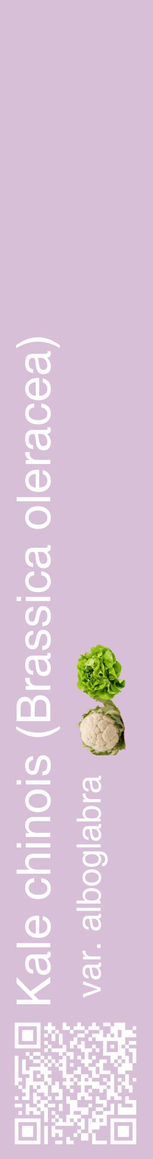 Étiquette de : Brassica oleracea var. alboglabra - format c - style blanche54_basiquehel avec qrcode et comestibilité simplifiée