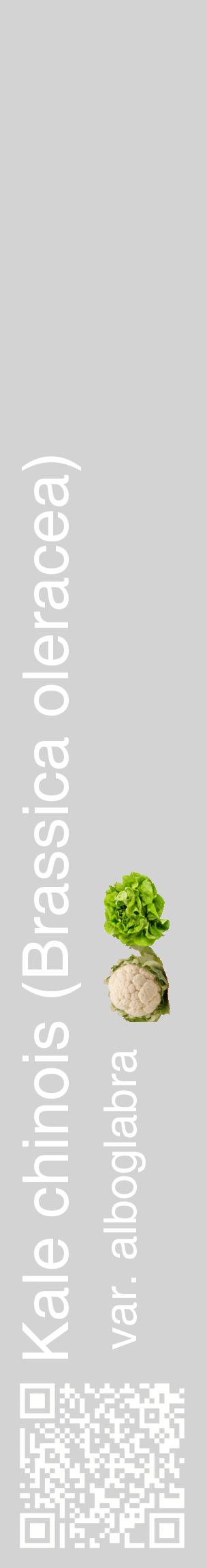 Étiquette de : Brassica oleracea var. alboglabra - format c - style blanche56_basiquehel avec qrcode et comestibilité simplifiée