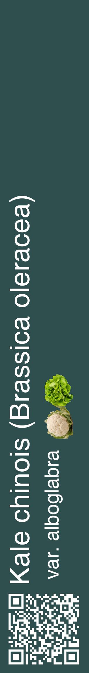 Étiquette de : Brassica oleracea var. alboglabra - format c - style blanche58_basiquehel avec qrcode et comestibilité simplifiée
