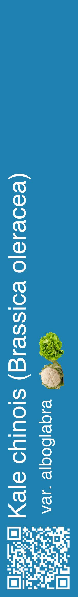 Étiquette de : Brassica oleracea var. alboglabra - format c - style blanche6_basiquehel avec qrcode et comestibilité simplifiée