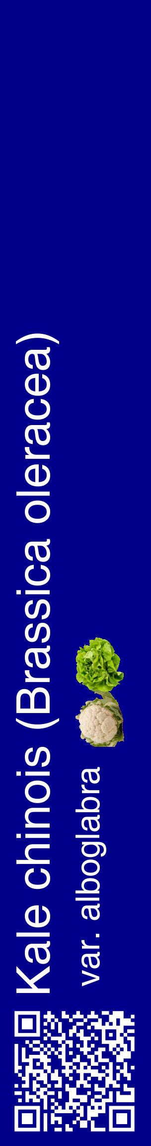 Étiquette de : Brassica oleracea var. alboglabra - format c - style blanche7_basiquehel avec qrcode et comestibilité simplifiée