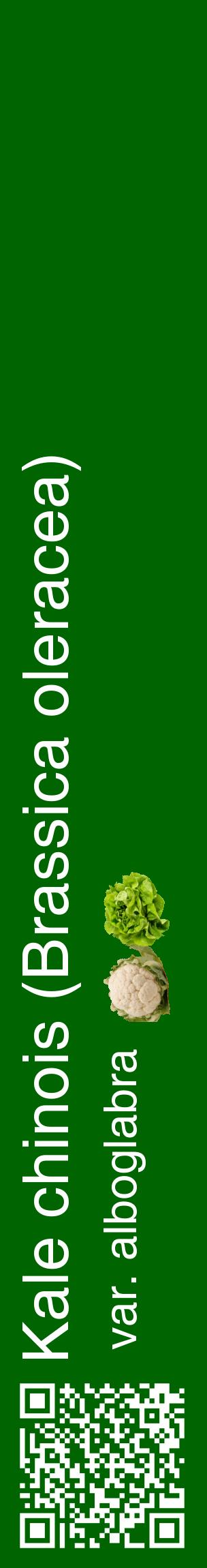 Étiquette de : Brassica oleracea var. alboglabra - format c - style blanche8_basiquehel avec qrcode et comestibilité simplifiée