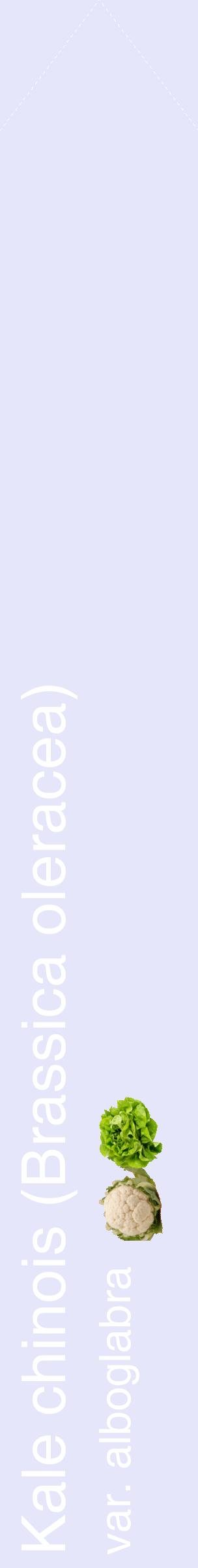 Étiquette de : Brassica oleracea var. alboglabra - format c - style blanche55_simplehel avec comestibilité simplifiée