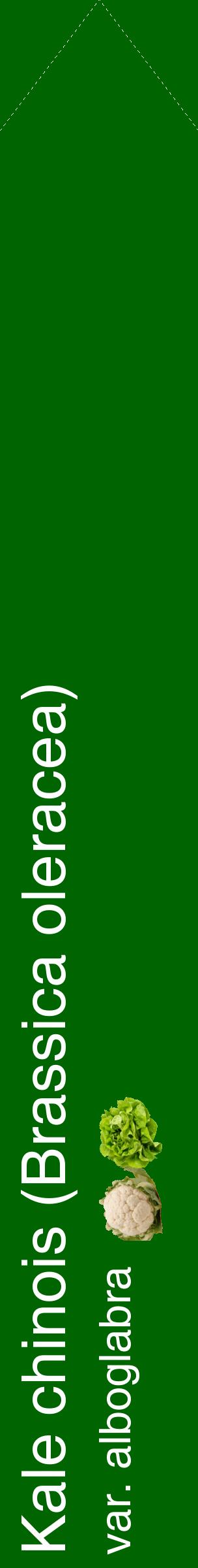 Étiquette de : Brassica oleracea var. alboglabra - format c - style blanche8_simplehel avec comestibilité simplifiée