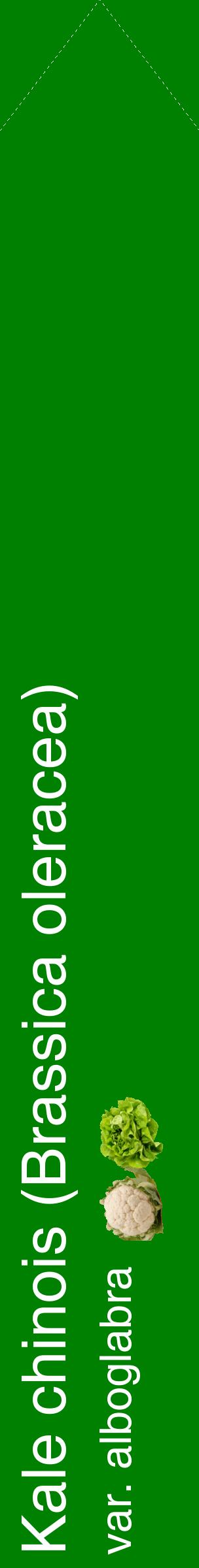 Étiquette de : Brassica oleracea var. alboglabra - format c - style blanche9_simplehel avec comestibilité simplifiée
