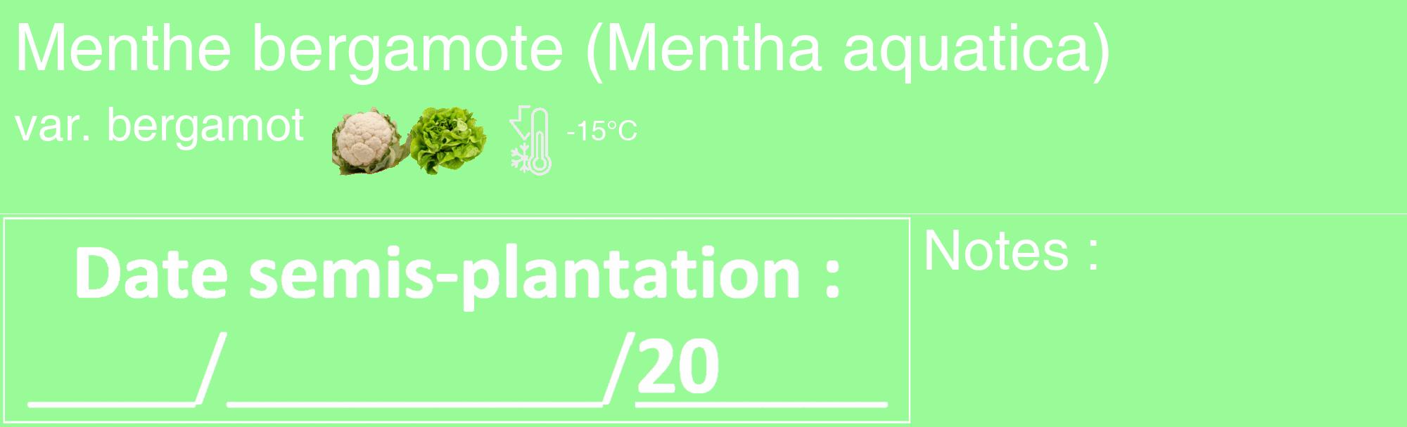 Étiquette de : Mentha aquatica var. bergamot - format c - style blanche14_basique_basiquehel avec comestibilité simplifiée