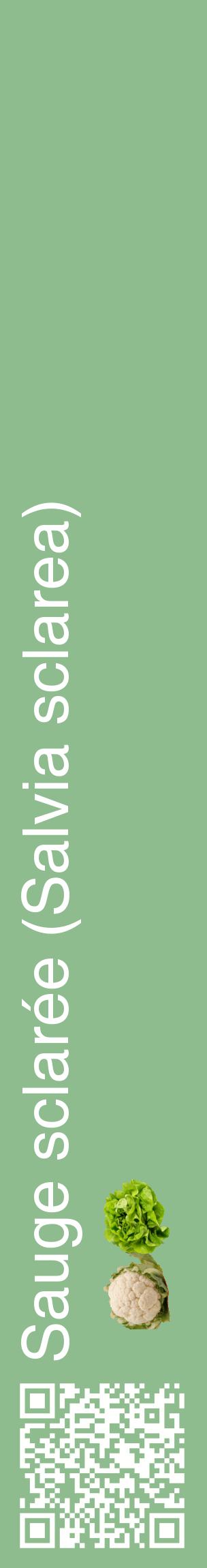 Étiquette de : Salvia sclarea - format c - style blanche13_basiquehel avec qrcode et comestibilité simplifiée