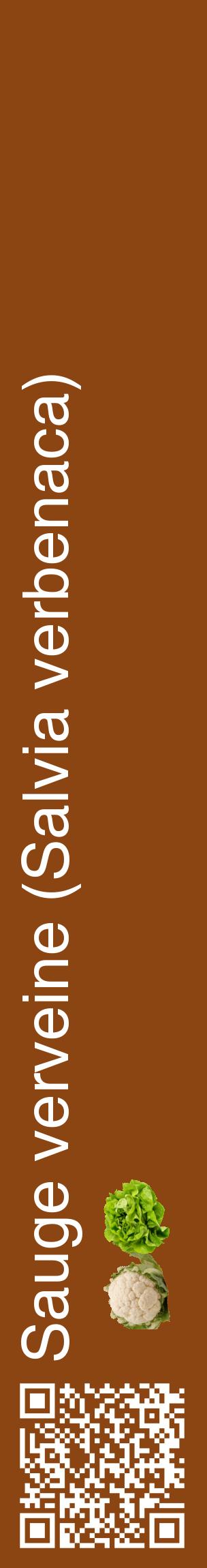 Étiquette de : Salvia verbenaca - format c - style blanche30_basiquehel avec qrcode et comestibilité simplifiée