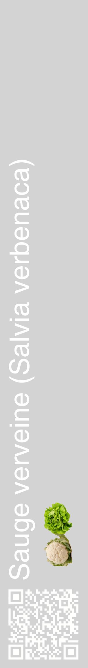 Étiquette de : Salvia verbenaca - format c - style blanche56_basiquehel avec qrcode et comestibilité simplifiée