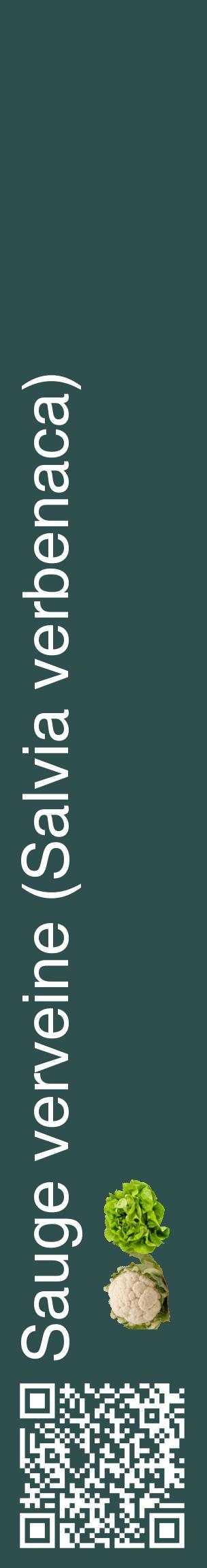 Étiquette de : Salvia verbenaca - format c - style blanche58_basiquehel avec qrcode et comestibilité simplifiée