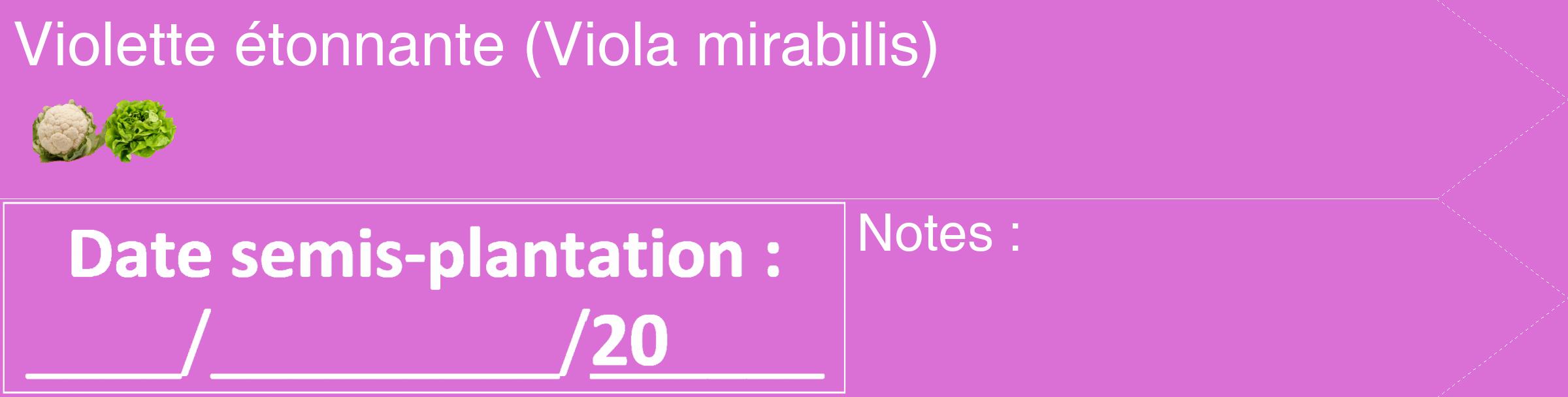 Étiquette de : Viola mirabilis - format c - style blanche52_simple_simplehel avec comestibilité simplifiée