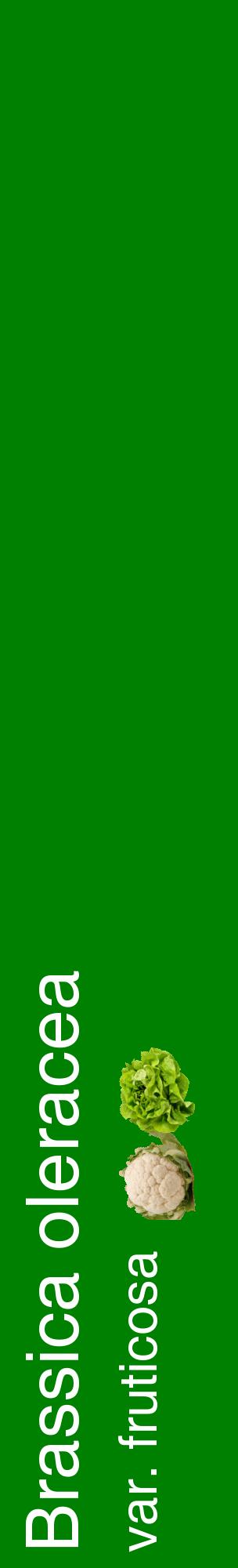 Étiquette de : Brassica oleracea var. fruticosa - format c - style blanche9_basiquehel avec comestibilité simplifiée