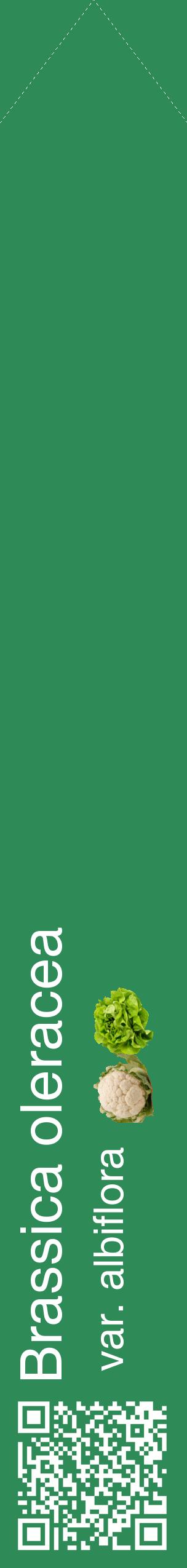 Étiquette de : Brassica oleracea var. albiflora - format c - style blanche11_simplehel avec qrcode et comestibilité simplifiée
