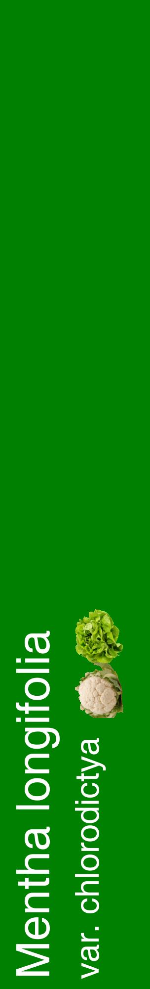 Étiquette de : Mentha longifolia var. chlorodictya - format c - style blanche9_basiquehel avec comestibilité simplifiée