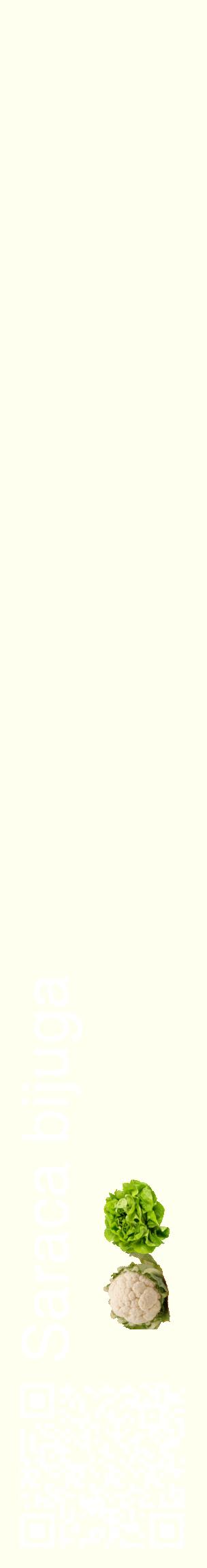 Étiquette de : Saraca bijuga - format c - style blanche19_basiquehel avec qrcode et comestibilité simplifiée