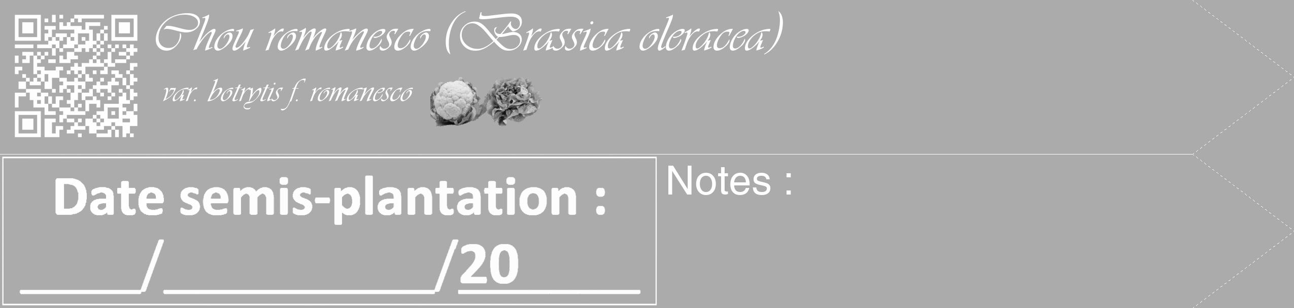 Étiquette de : Brassica oleracea var. botrytis f. romanesco - format c - style blanche37_simple_simpleviv avec qrcode et comestibilité simplifiée