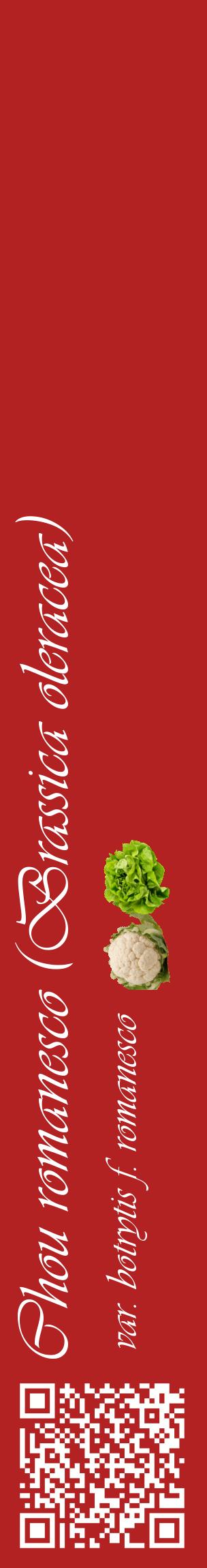 Étiquette de : Brassica oleracea var. botrytis f. romanesco - format c - style blanche28_basiqueviv avec qrcode et comestibilité simplifiée