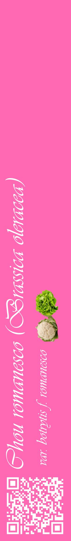 Étiquette de : Brassica oleracea var. botrytis f. romanesco - format c - style blanche42_basiqueviv avec qrcode et comestibilité simplifiée