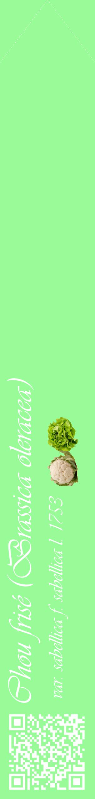 Étiquette de : Brassica oleracea var. sabellica f. sabellica l. 1753 - format c - style blanche14_simpleviv avec qrcode et comestibilité simplifiée
