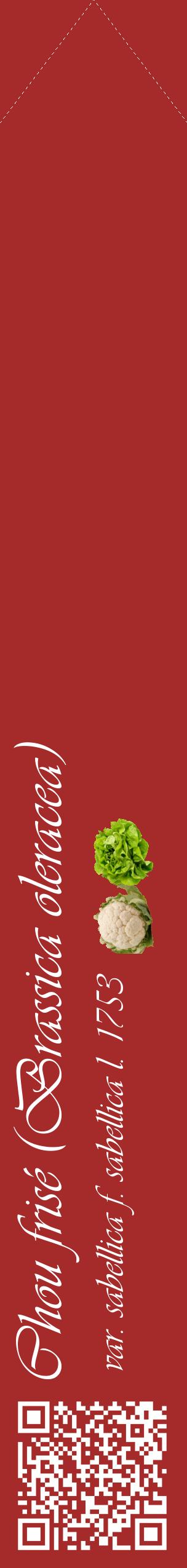 Étiquette de : Brassica oleracea var. sabellica f. sabellica l. 1753 - format c - style blanche33_simpleviv avec qrcode et comestibilité simplifiée