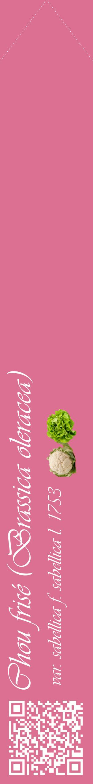 Étiquette de : Brassica oleracea var. sabellica f. sabellica l. 1753 - format c - style blanche44_simpleviv avec qrcode et comestibilité simplifiée