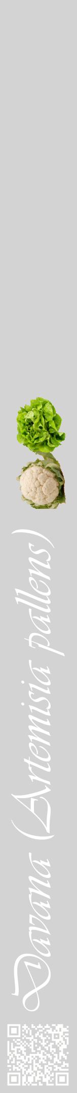 Étiquette de : Artemisia pallens - format a - style blanche56viv avec qrcode et comestibilité simplifiée