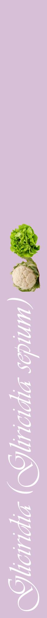 Étiquette de : Gliricidia sepium - format a - style blanche54viv avec comestibilité simplifiée