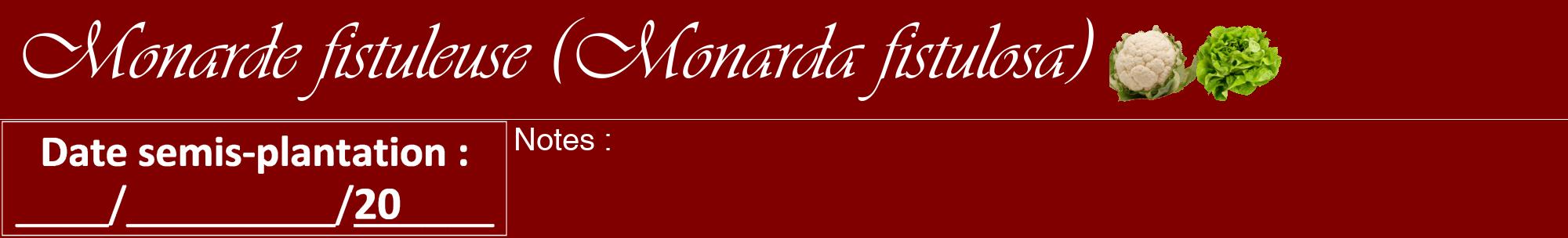 Étiquette de : Monarda fistulosa - format a - style blanche29viv avec comestibilité simplifiée
