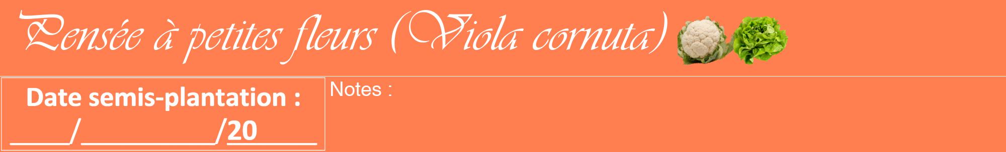 Étiquette de : Viola cornuta - format a - style blanche24viv avec comestibilité simplifiée