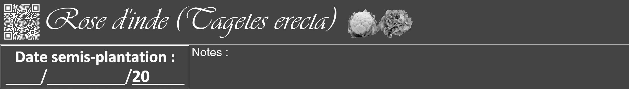 Étiquette de : Tagetes erecta - format a - style blanche48viv avec qrcode et comestibilité simplifiée