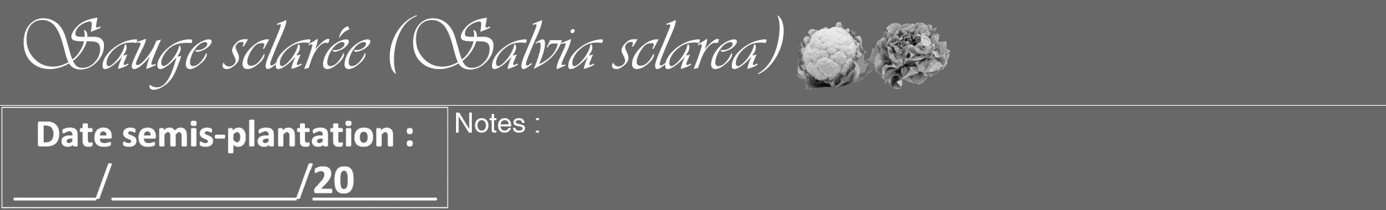 Étiquette de : Salvia sclarea - format a - style blanche6viv avec comestibilité simplifiée