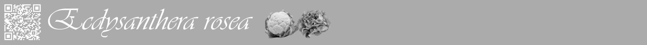Étiquette de : Ecdysanthera rosea - format a - style blanche37viv avec qrcode et comestibilité simplifiée