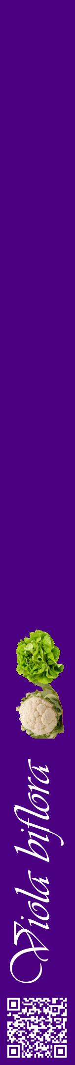 Étiquette de : Viola biflora - format a - style blanche47viv avec qrcode et comestibilité simplifiée