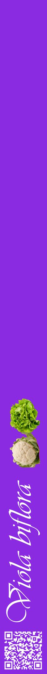Étiquette de : Viola biflora - format a - style blanche49viv avec qrcode et comestibilité simplifiée
