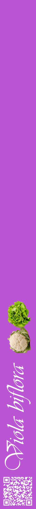 Étiquette de : Viola biflora - format a - style blanche50viv avec qrcode et comestibilité simplifiée