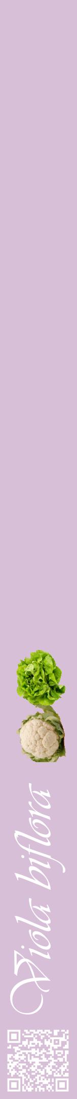 Étiquette de : Viola biflora - format a - style blanche54viv avec qrcode et comestibilité simplifiée