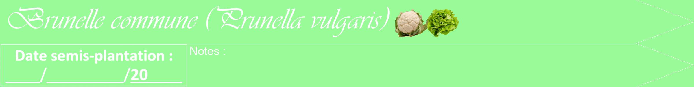 Étiquette de : Prunella vulgaris - format b - style blanche14viv avec comestibilité simplifiée