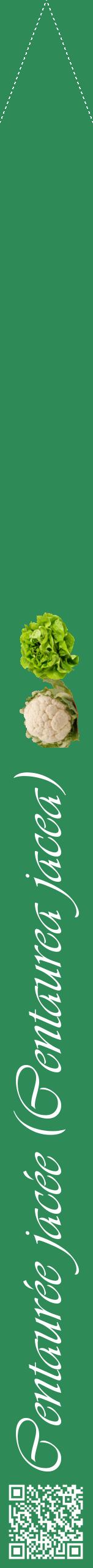 Étiquette de : Centaurea jacea - format b - style blanche11viv avec qrcode et comestibilité simplifiée